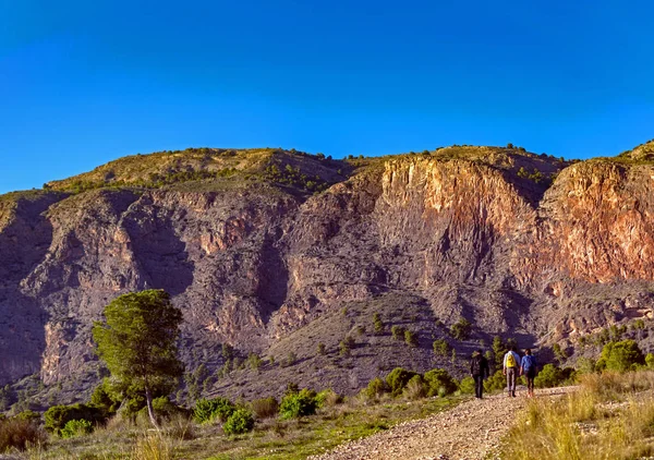 Grupos Personas Caminando Través Paisajes Montañas —  Fotos de Stock