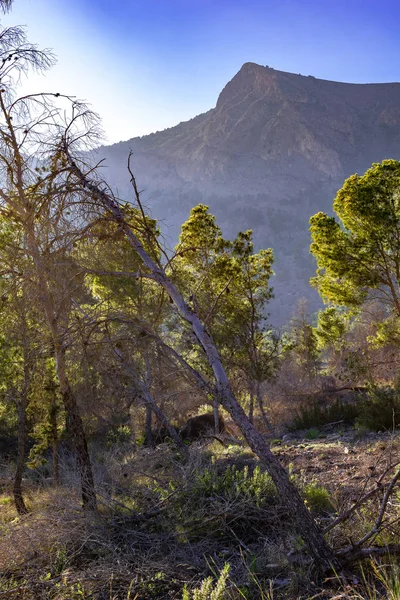 Paisaje Idílico Contra Montañas España —  Fotos de Stock