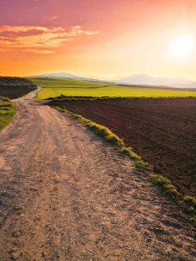 İspanyol ülkede batımında başına çayır çim çevrili toprak yol Panoraması.