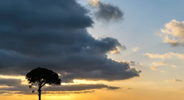 Shilouette Pin Contre Beau Lever Soleil — Photo