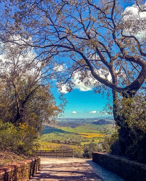 Lantlig väg i mitten av ett grönt gräs fält i Andalusien. — Stockfoto