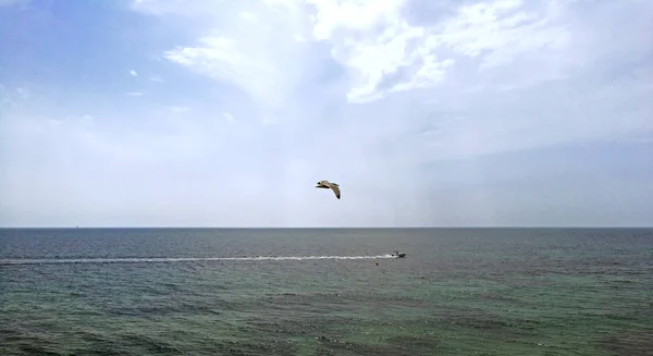 Pájaros persiguen barco de pesca comercial frente a la costa de España — Foto de Stock