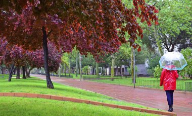 Genç bir kız tek başına bir şemsiye altında bir parkın içinden yağmurlu bir gün yürür