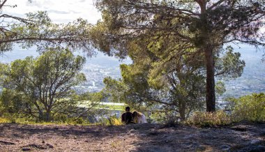 Aşk çim alanında oturan ve Cityscape üzerinde günbatımı izlerken romantik Couple arka görünümü.