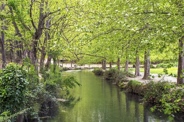 Amandiers réfléchis sur la rivière contre le champ d'herbe . — Photo