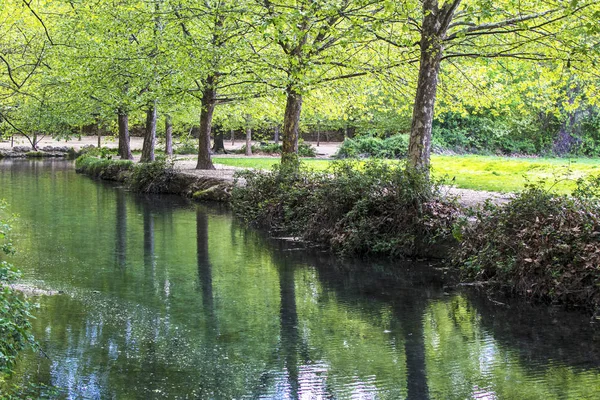 Amandiers réfléchis sur la rivière contre le champ d'herbe . — Photo