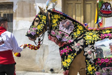 Caravaca de la Cruz, Spain, May 2, 2019: Horse being paraded at Caballos Del Vino. clipart