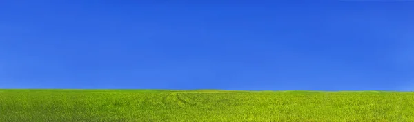 Yeşil çim alan ve mavi berrak gökyüzü — Stok fotoğraf