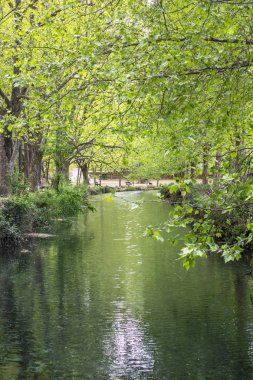 Badem ağaçları nehre yansıdı.