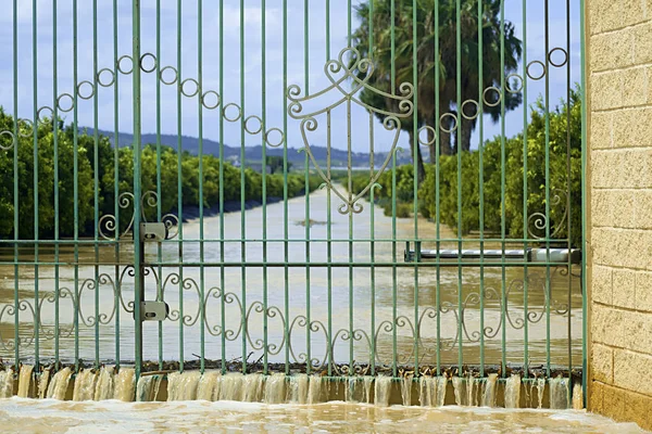 Agua saliendo de la entrada de una plantación — Foto de Stock