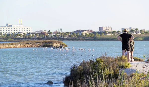 Família assistindo flamingos nos apartamentos de sal . — Fotografia de Stock