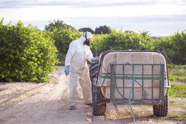 İspanya'da limon ağaçlarının plantasyon işçi fumigating