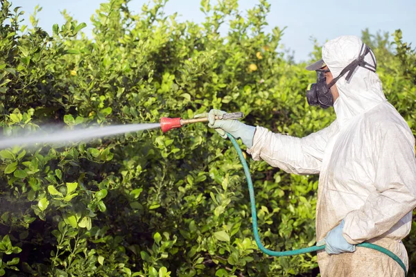 Trabalhador fumigando plantação de limoeiros em Espanha — Fotografia de Stock