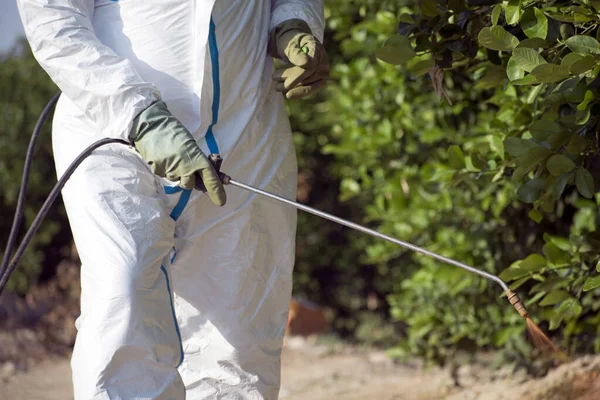 Man spuitend op giftige pesticiden, pesticiden, insecticiden op fruitcitroenplantage, Spanje, 2019. — Stockfoto