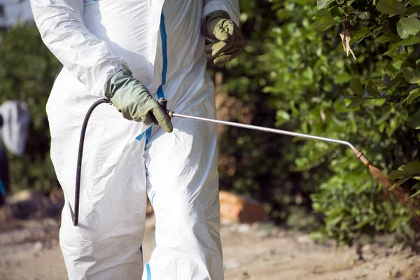 Homem pulverizando pesticidas tóxicos, pesticidas, inseticidas em plantação de limão de frutas, Espanha, 2019 . — Fotografia de Stock
