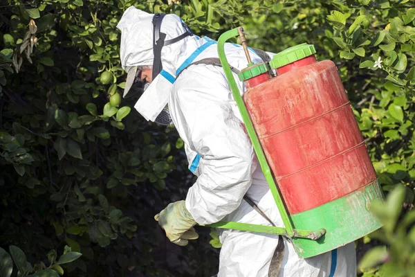 Man sprejování toxických pesticidů, pesticidů, insekticidů na ovocné citrony pěstování plantáže, Španělsko, 2019. — Stock fotografie