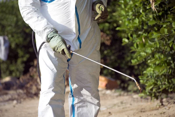 Homem pulverizando pesticidas tóxicos, pesticidas, inseticidas em plantação de limão de frutas, Espanha, 2019 . — Fotografia de Stock