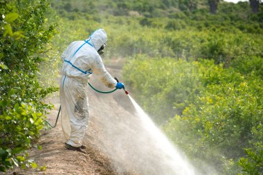 Koruyucu giysili tarım işçisi böcek ilacı, böcek ilacı ya da tarım alanında dezenfekte. Haşere kontrolü. Ot böcek ilacı dezenfekte etme. Organik ekolojik tarım. Sprey böcek ilaçları, böcek ilacı.