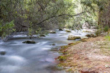 İspanya, Cerrada del Rio Castril 'deki kayalıklardan akan Castril Nehri İspanyol dağlarından akan saf güvenli içme suyu. Saf su akıntısı olan doğal su deresi..