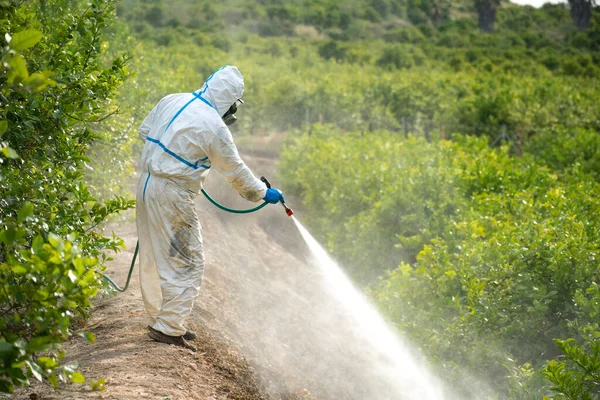 Trabalhador agrícola em terno protetor pulverizar pesticida, inseticida ou fumigar no campo agrícola. , controle de pragas. Fumigação de insecticida de ervas daninhas. Agricultura ecológica orgânica. Spray de pesticidas, pesticidas — Fotografia de Stock