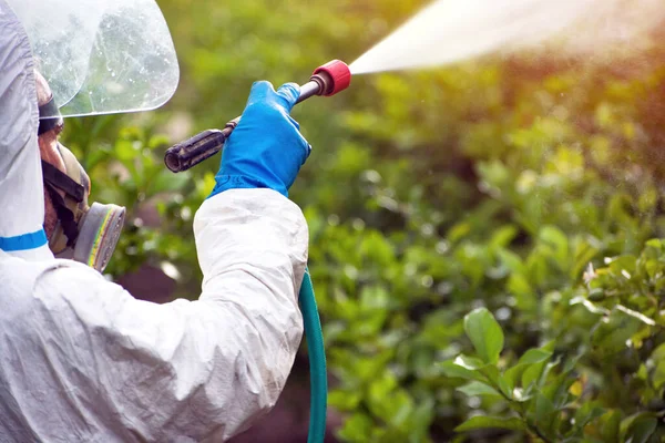 Landarbeiter in Schutzanzügen sprühen Pestizide, Insektizide oder qualmen in der Landwirtschaft. , Schädlingsbekämpfung. Unkrautvernichtungsmittel Begasung. Ökologischer Landbau. Sprühpestizide, Pestizide — Stockfoto