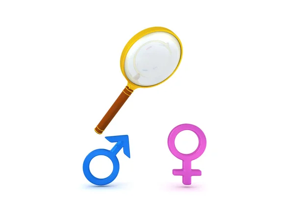 Rendering Magnifying Glass Gender Symbols Rendering Isolated White — Stock Photo, Image