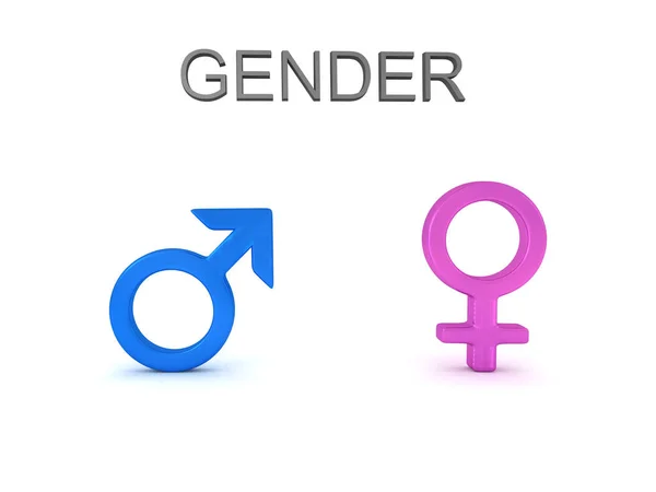 渲染男性和女性的性别标志和性别文本 渲染查出在白色 — 图库照片