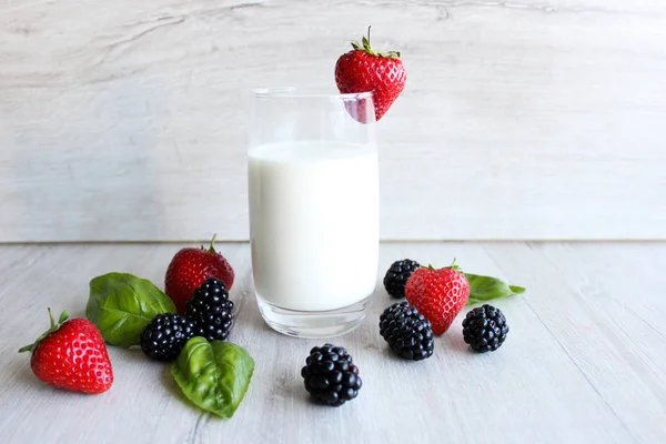 Summer Cocktail, Milk Berry Cocktail with Blackberries and Strawberries