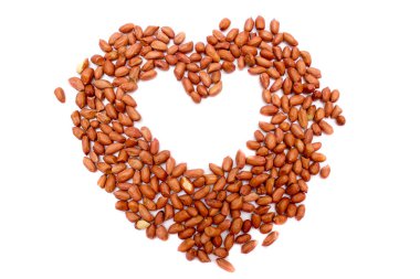 Kırmızı fıstık, kızartılmış fıstık. Beyaz zemin üzerine fıstık