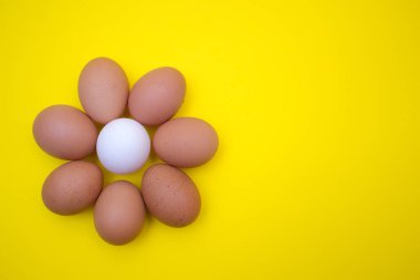 Yumurta, sarı bir arka plan üzerinde yumurta. Yumurta içinde bir tepsi