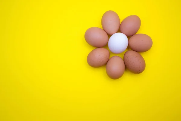 Ägg Ägg Gul Bakgrund Ägg Ett Fack — Stockfoto