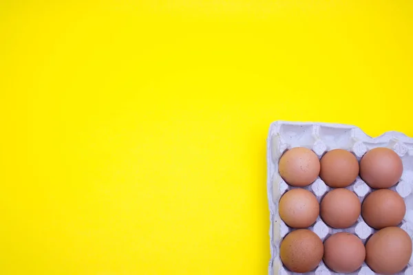 Яйця Яйця Жовтому Тлі Яйця Лотку — стокове фото