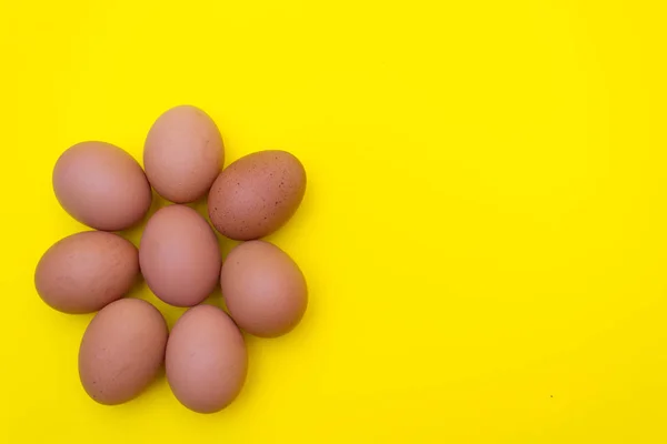 Ovo Ovos Sobre Fundo Amarelo Ovos Uma Bandeja — Fotografia de Stock