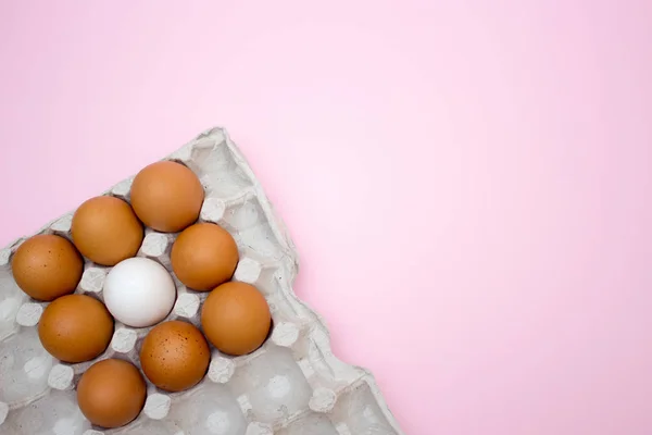 Egg, Eggs on a pink background. Eggs in a tray