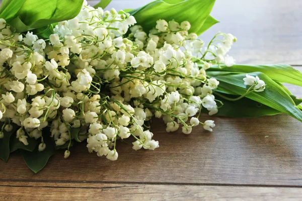 Vadideki Zambak, Lily vadi ahşap arka plan bahar buket.