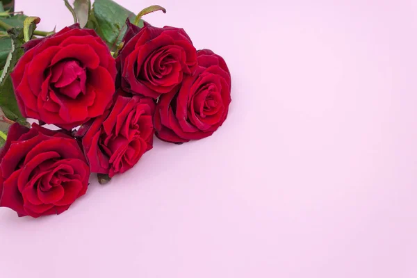 Rosas Fundo Rosa Buquê Rosas Vermelhas Dia Dos Namorados Feliz — Fotografia de Stock