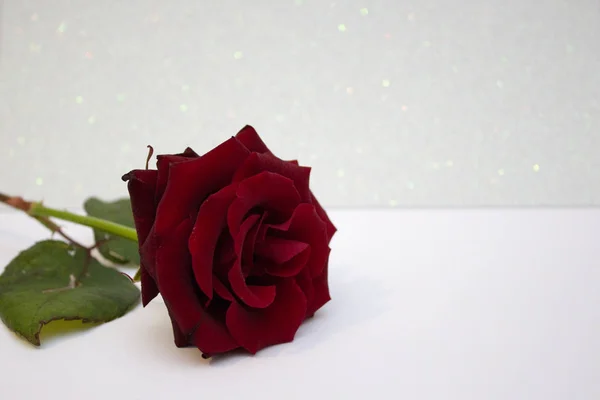 Vermelho Rosa Desfocado Fundo Bokeh Valentine Fundo Casamento Cartão Dia — Fotografia de Stock