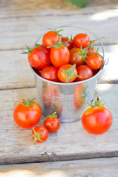 Tomate Rojo Maduro Nueva Cosecha Tomates Cherry Pequeños Frescos — Foto de Stock