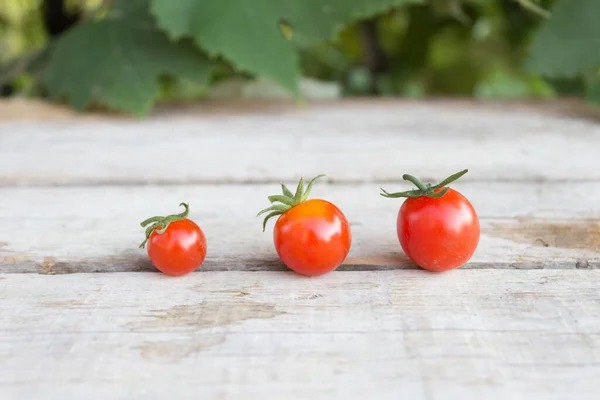 Tomate Cereja Pequenos Tomates Fundo Madeira — Fotografia de Stock