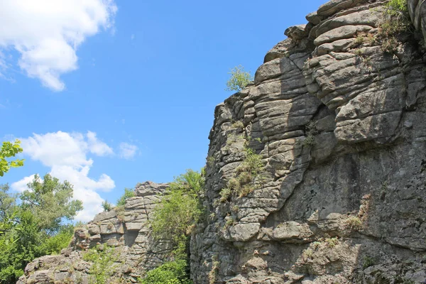 Taş kaya ve yeşillik, kayalıklardaki turistik bölge.