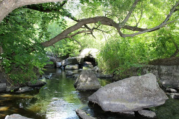 Řeka Kameny Zarostlé Zelené Přírodě Turistická Oblast — Stock fotografie