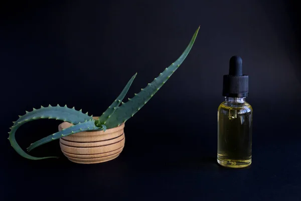 İçinde aloe vera yağı olan bir şişe. Esmer arka planda profesyonel cilt bakımı..