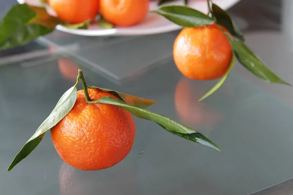 在一个白色的正方形的盘子上,成熟的橙子.长有叶子的成熟橘子 免版税图库图片