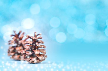 Pinecones mavi bokeh arka plan kopya alanı ile. 