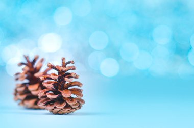 Pinecones mavi bokeh arka plan kopya alanı ile. 