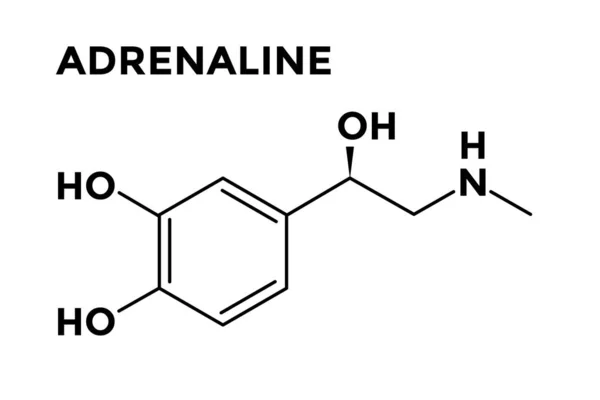 肾上腺素 - 肾上腺素，肾上腺激素 — 图库照片