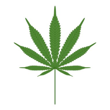 Esrar (tıbbi marihuana) tek yaprak izole