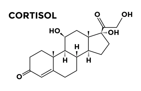 皮质醇肾上腺激素结构化学配方 — 图库矢量图片