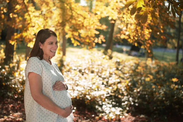 Mujer embarazada de pie en un hermoso parque al atardecer — Foto de Stock