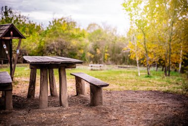 Ormandaki eski ahşap piknik masası ve banklar. Sessiz ve huzurlu bir piknik alanı.. 